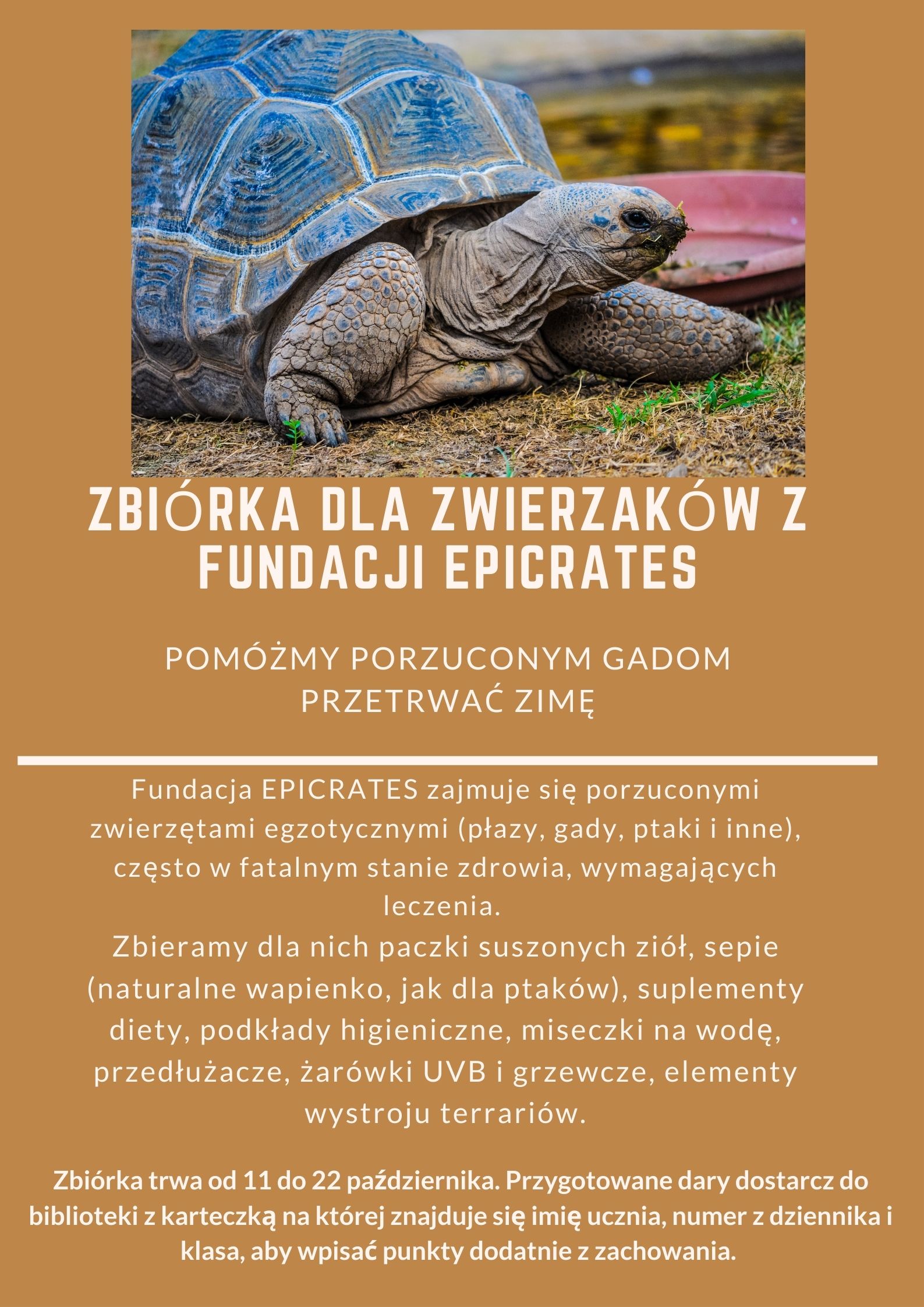 zbiórka dla schroniska SP20