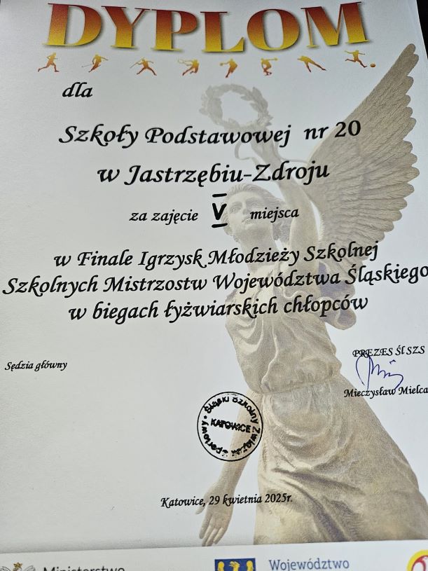 lyz5.jpg